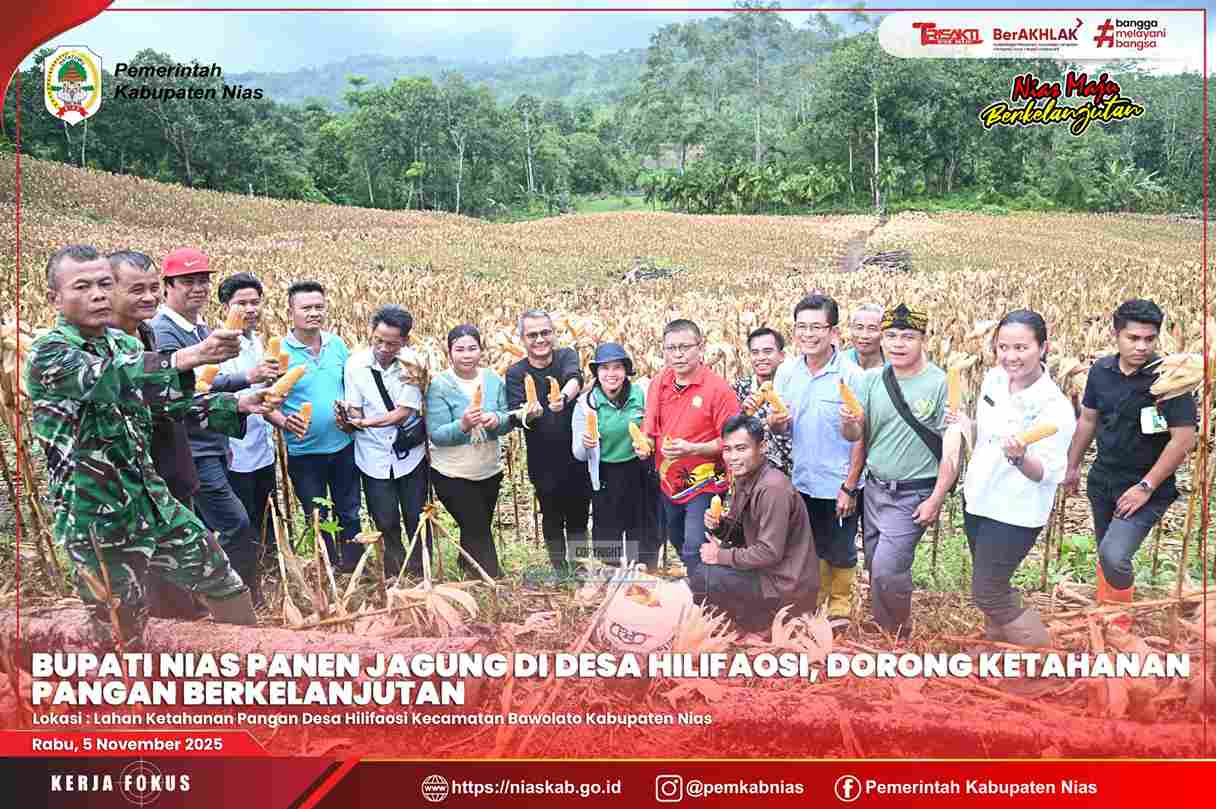 BUPATI NIAS PANEN JAGUNG HIBRIDA DI DESA HILIFAOSI, DORONG KETAHANAN PANGAN BERKELANJUTAN