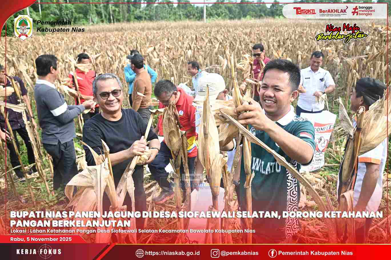 BUPATI NIAS PANEN JAGUNG HIBRIDA DI SIOFAEWALI SELATAN