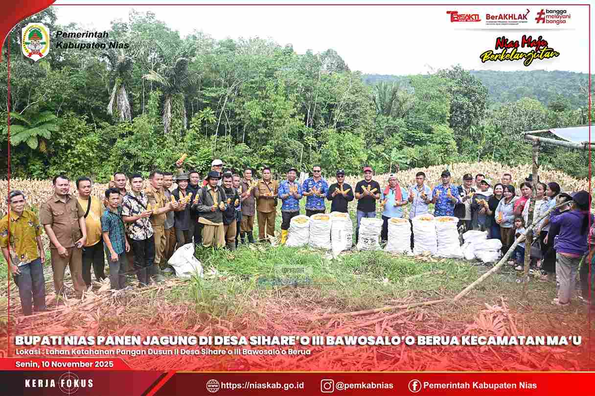 BUPATI NIAS PANEN JAGUNG DI DESA SIHARE’O III BAWOSALO’O BERUA KECAMATAN MA’U